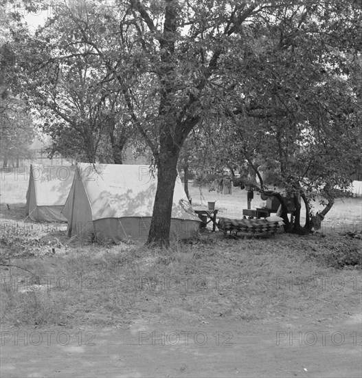 The grower provided clean tents and a shady..., near Grants Pass, Josephine County, Oregon, 1939. Creator: Dorothea Lange.