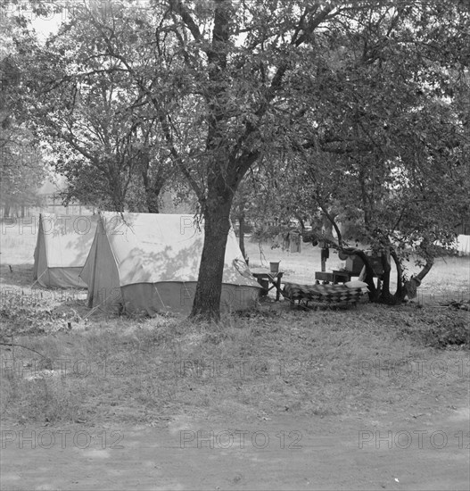 The grower provided clean tents and a shady..., near Grants Pass, Josephine County, Oregon, 1939. Creator: Dorothea Lange.