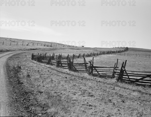 Road going up Squaw Creek Valley, leaving Ola, Ola self-help sawmill co-op, Gem County, Idaho, 1939. Creator: Dorothea Lange.