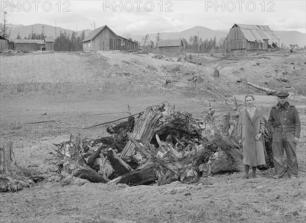 Possibly: The Unruf family, stump pile, and their partly developed farm, Boundary County, Idaho,1939 Creator: Dorothea Lange.