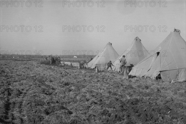 Possibly: Setting up a tent in the camp for white flood refugees, Forrest City, Arkansas, 1937. Creator: Walker Evans.