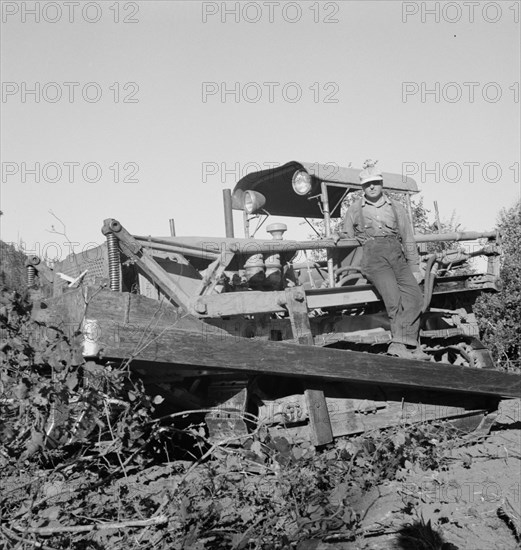 Possibly: Bulldozer raises and pushes stump on cut-over farm, Lewis County, Western Washington, 1939 Creator: Dorothea Lange.