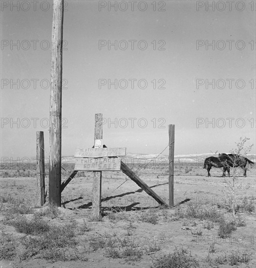 Farm for sale, Willow Creek area, Malheur County, Oregon, 1939. Creator: Dorothea Lange.