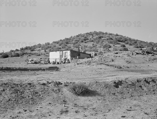 New farm in Cow Hollow, Malheur County, Oregon, 1939. Creator: Dorothea Lange.