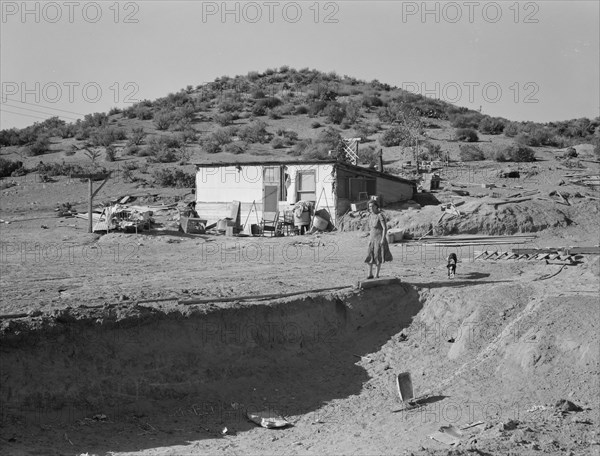 New farm in Cow Hollow, Malheur County, Oregon, 1939. Creator: Dorothea Lange.