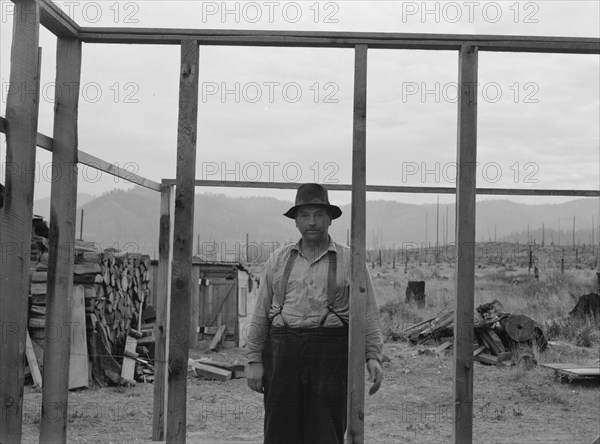 Burned out in Montana..., Priest River country, Bonner County, Idaho, 1939. Creator: Dorothea Lange.