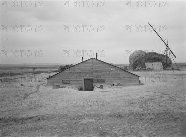 Home of Free family who had lived in Beaver County..., Dead Ox Flat, Malheur County, Oregon, 1939. Creator: Dorothea Lange.