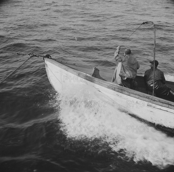 On board the fishing boat Alden, out of Gloucester, Massachusetts, 1943. Creator: Gordon Parks.