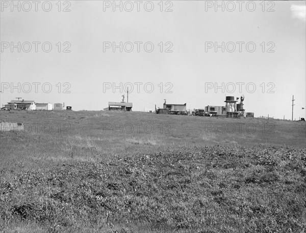 Settlement of small plots held mostly by lettuce shed workers, outskirts of Salinas, CA, 1939. Creator: Dorothea Lange.