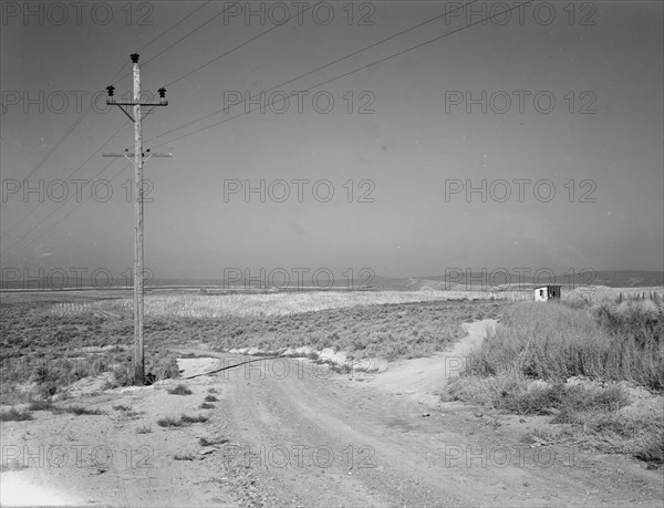 On bench land of the Owyhee project, Nyssa Heights, Malheur County, Oregon, 1939. Creator: Dorothea Lange.