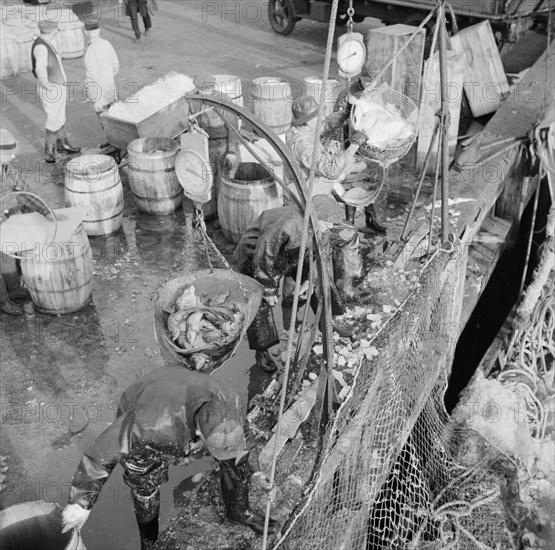 Stevedores at the Fulton fish market unloading fish from boats caught..., New York, 1943. Creator: Gordon Parks.