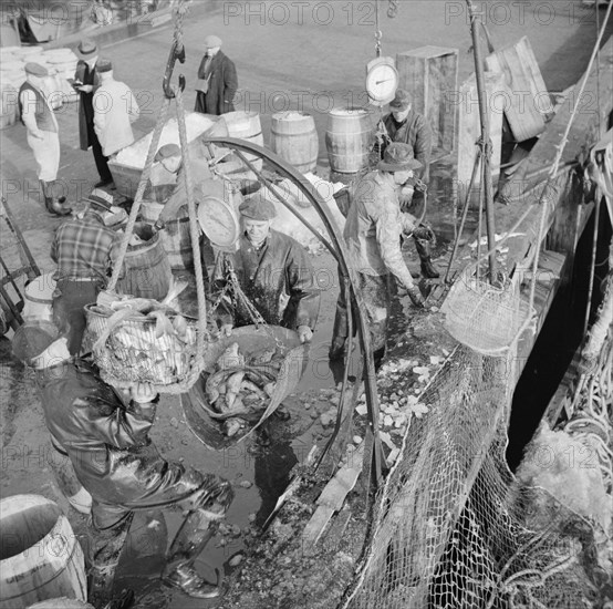 Stevedores at the Fulton fish market unloading fish from boats caught..., New York, 1943. Creator: Gordon Parks.