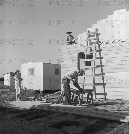Father and son building house on outskirts of Salinas, California, 1939. Creator: Dorothea Lange.