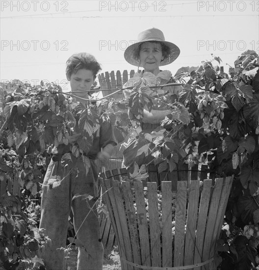 Eleven year old boy and his grandmother, migratory..., near Independence, Polk County, Oregon, 1939. Creator: Dorothea Lange.