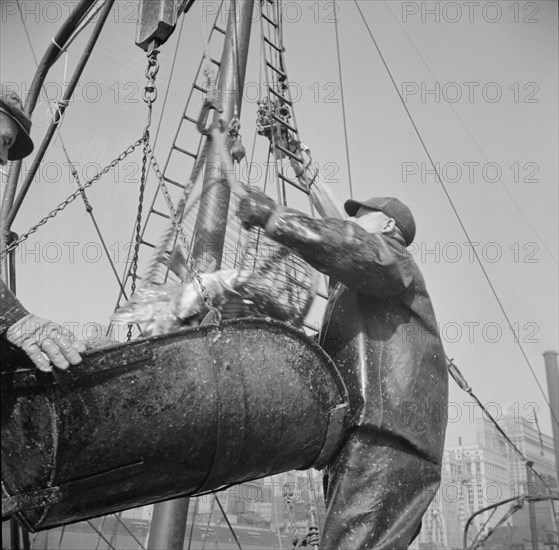 Possibly: Filling a barrel with codfish at the Fulton fish market, New York, 1943. Creator: Gordon Parks.