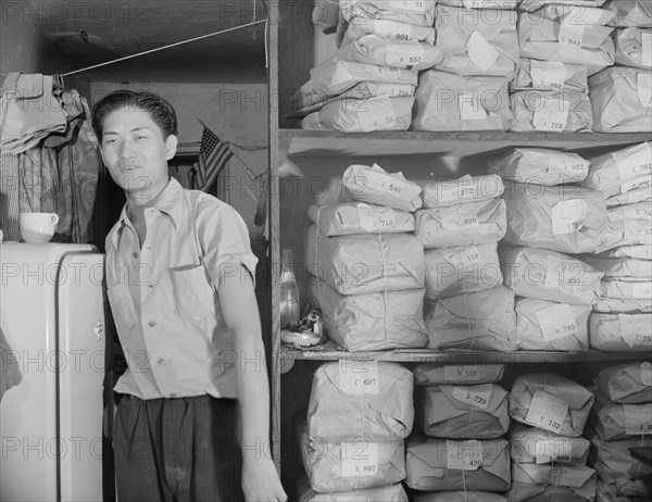 Johnnie Lew, owner of the laundry under the apartment of Mrs. Ella Watson..., Washington, DC, 1942. Creator: Gordon Parks.