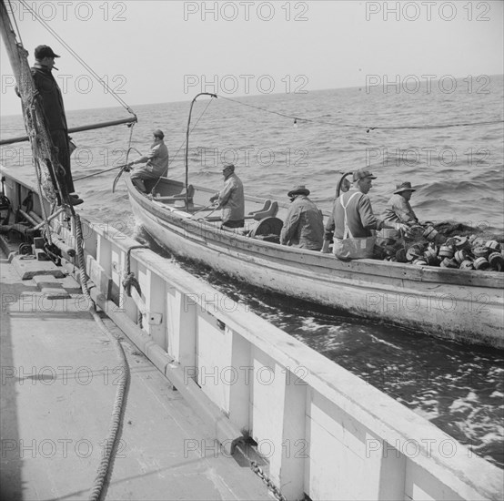 On board the fishing boat Alden, out of Gloucester, Massachusetts, 1943. Creator: Gordon Parks.