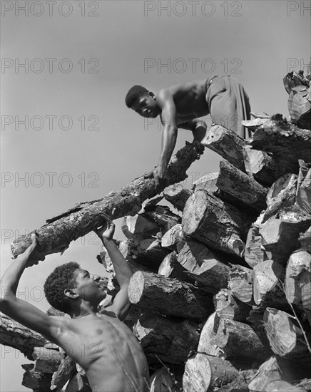 Bethune-Cookman College, Daytona Beach, Florida, 1943. Creator: Gordon Parks.