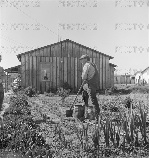 Farmer who has small plot...on outskirts of Salinas, CA, 1939. Creator: Dorothea Lange.