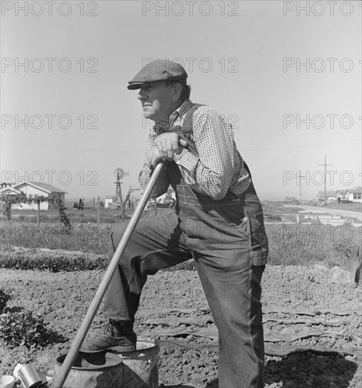 Farmer who has small plot...on outskirts of Salinas, CA, 1939. Creator: Dorothea Lange.