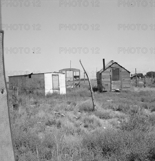 Shack for potato pickers, Merrill, Klamath County, Oregon, 1939. Creator: Dorothea Lange.