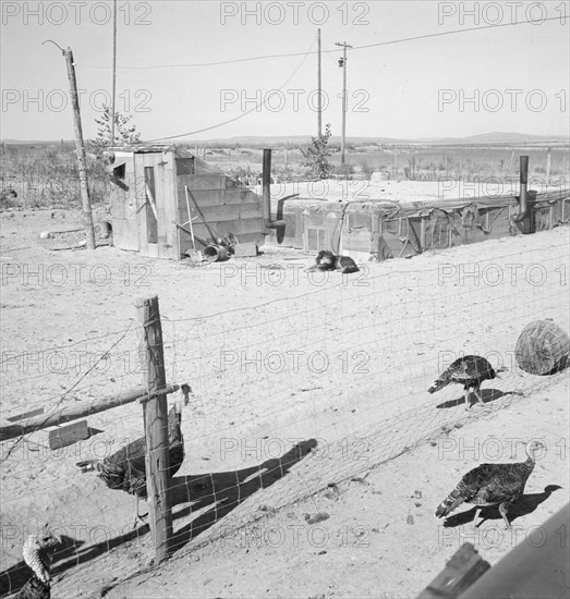 Home of the Williams' family, Dead Ox Flat, Malheur County, Oregon, 1939. Creator: Dorothea Lange.