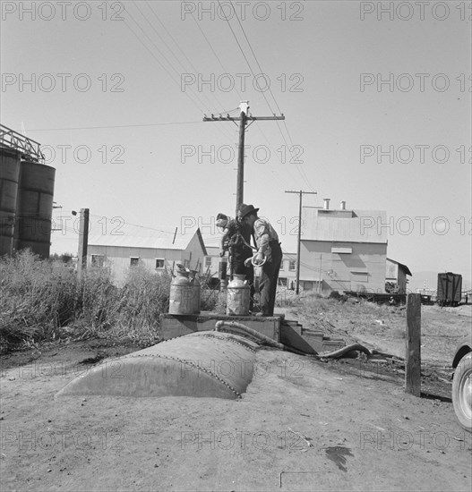 Living conditions for migrant potato pickers, Siskiyou County, California, 1939. Creator: Dorothea Lange.