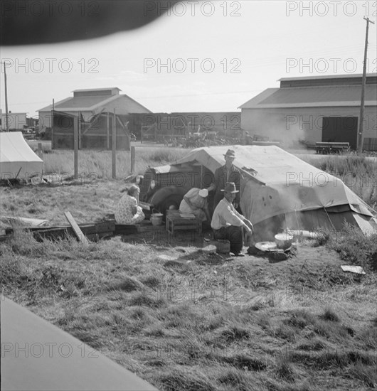 Living conditions for migrant potato pickers, Siskiyou County, California, 1939. Creator: Dorothea Lange.