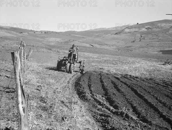 Young farmer, member of Ola self-help sawmill co-op, plowing..., Gem County, Idaho, 1939. Creator: Dorothea Lange.