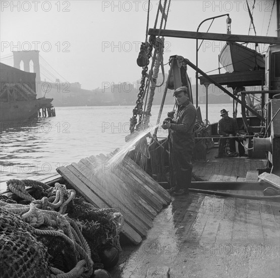 Fisherman washing off the slats used to hold fish during the trip down from New..., New York, 1943. Creator: Gordon Parks.