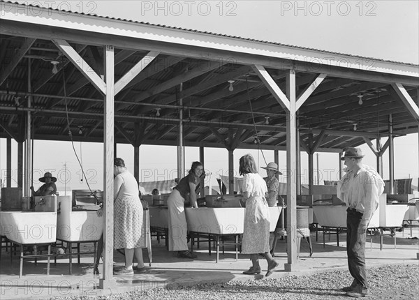 Laundry facilities for migratory workers in FSA camp at Westley, California, 1939. Creator: Dorothea Lange.