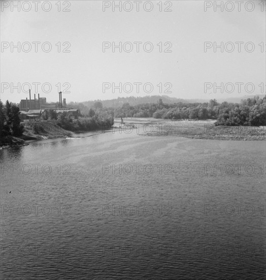 Possibly: Log rafts on the Williamette River between Salem and Independence, Oregon, 1939. Creator: Dorothea Lange.