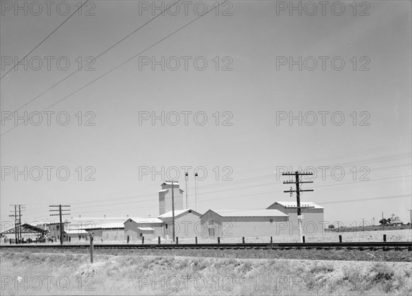 Winery belonging to Muscat Cooperative, on US 99. between Tulare and Fresno, California, 1939. Creator: Dorothea Lange.