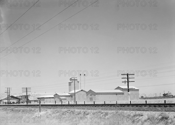 Winery belonging to Muscat Cooperative, on US 99. between Tulare and Fresno, California, 1939. Creator: Dorothea Lange.