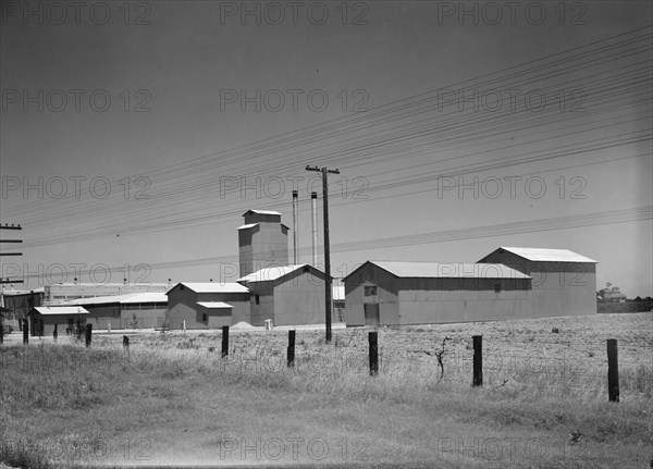 Winery belonging to Muscat Cooperative, on US 99. between Tulare and Fresno, California, 1939. Creator: Dorothea Lange.