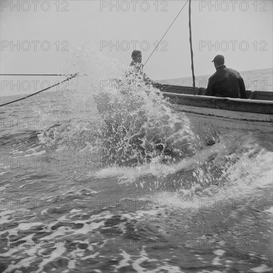 On board the fishing boat Alden, out of Gloucester, Massachusetts, 1943. Creator: Gordon Parks.