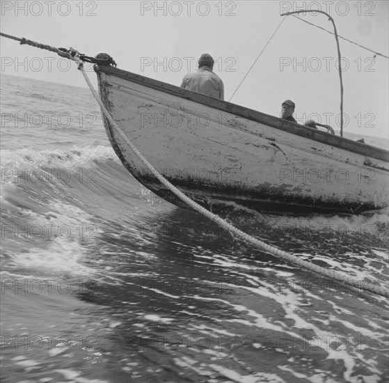 On board the fishing boat Alden, out of Gloucester, Massachusetts, 1943. Creator: Gordon Parks.