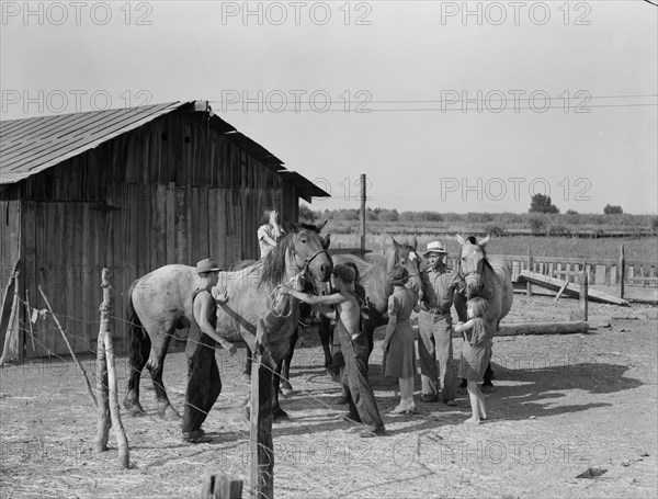Chris Adolf, his team, and six of his children on their new farm, Washington, Yakima Valley, 1939. Creator: Dorothea Lange.