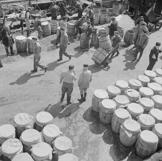 Barrels of fish on the docks at Fulton fish market ready to be shipped to retailers, New York, 1943. Creator: Gordon Parks.