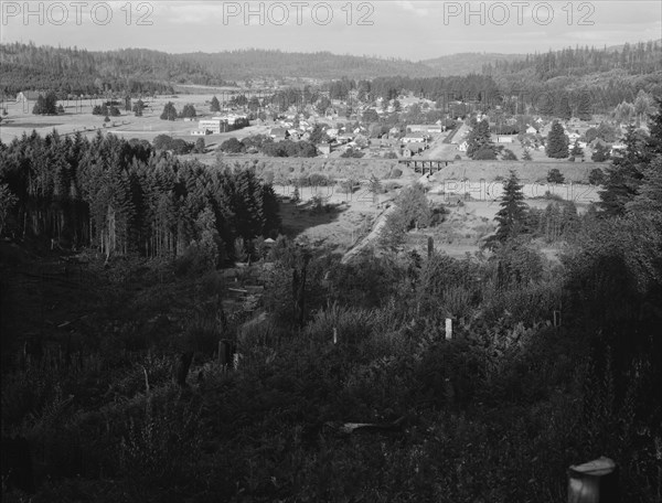 Looking down on western Washington...,Tenino, Thurston County, Western Washington, 1939. Creator: Dorothea Lange.