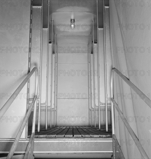 Interior of shower bath unit, FSA camp, Merrill, Klamath County, Oregon, 1939. Creator: Dorothea Lange.