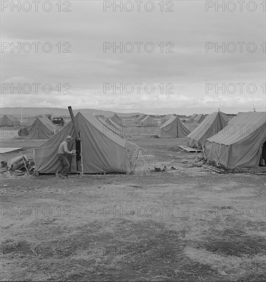 Migrant camp, Merrill, Klamath County, Oregon, 1939. Creator: Dorothea Lange.