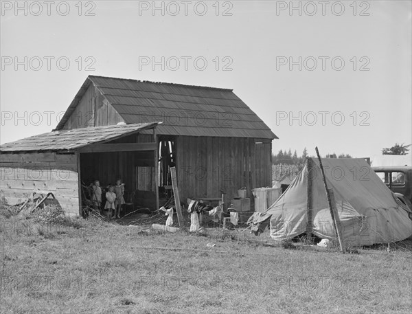 Bean pickers camp in grower's yard - no running..., near West Stayton, Marion County, Oregon, 1939. Creator: Dorothea Lange.