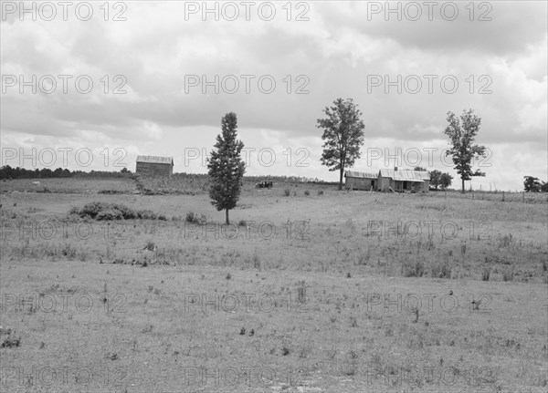 Farmhouse and landscape of Negro tenant family..., Near Pittsboro, North Carolina, 1939. Creator: Dorothea Lange.