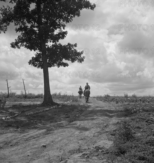 Sons of Negro tenant farmer go off visiting on Saturday..., Granville County, North Carolina, 1939. Creator: Dorothea Lange.