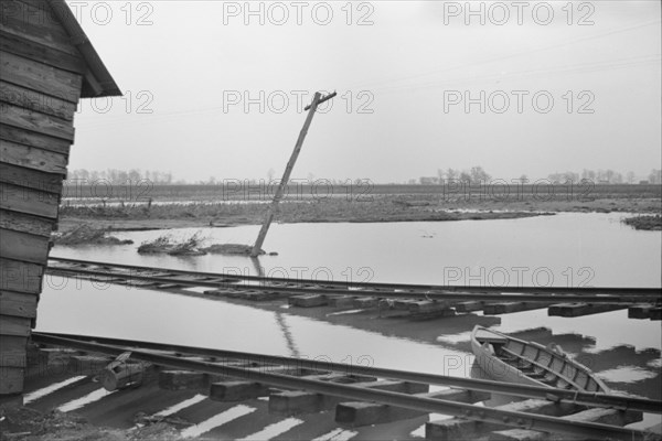 [Untitled photo, possibly related to: Farmyard covered with flood waters near Ridgeley, Tennessee].