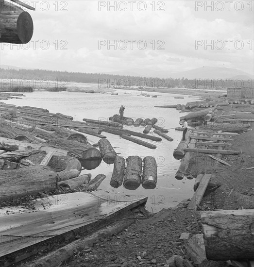 Mill pond. Klamath River beyond. Log rafts and log chute to the mill. Keno, Klamath County, Oregon.