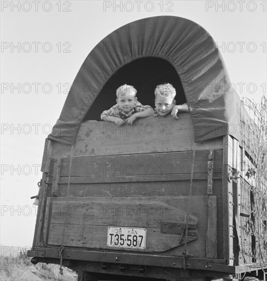 Just arrived from Kansas. On highway going to potato harvest. Near Merrill, Klamath County, Oregon.