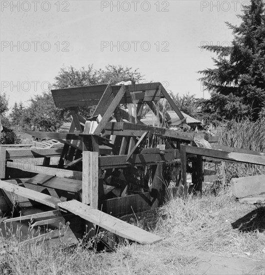 Oregon, Marion County, north of West Stayton. Waterwheel for field irrigation in the bean country.