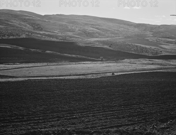 Newly-plowed fields on land belonging to member of Ola self-help sawmill co-op. Gem County, Idaho.